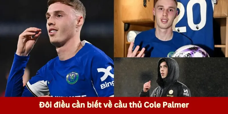 Giới thiệu tiểu sử của chân sút Palmer 